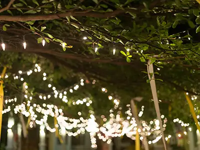 Outdoor Lighting, Acworth, GA Outdoor Lighting, Acworth, GA